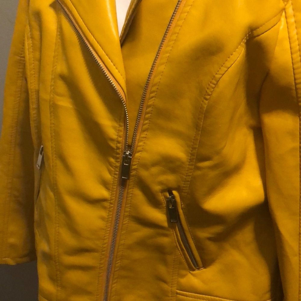 Jacket - Picture 2 of 3